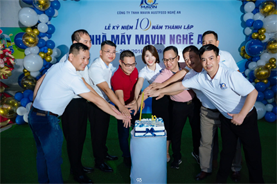 Mavin Austfeed Nghe An Celebrates 10 Years