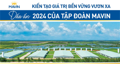 Kiến Tạo Giá Trị Bền Vững Vươn Xa: Dấu Ấn 2024 Của Tập Đoàn Mavin