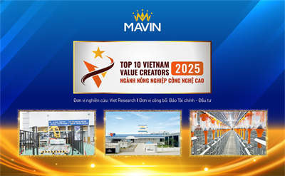 Mavin được vinh danh Top 10 Doanh nghiệp tạo giá trị hàng đầu Việt Nam năm 2025