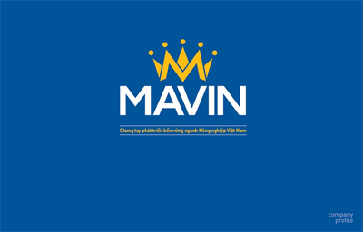 Profile Tập đoàn Mavin