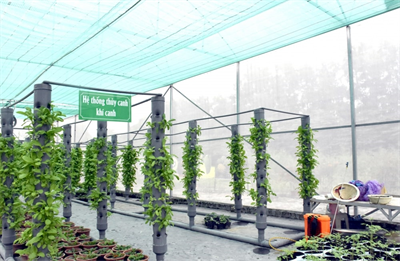Tăng tốc nông nghiệp số