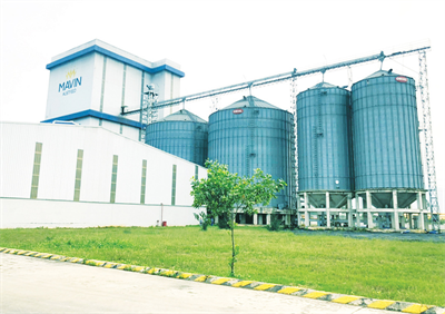 Mavin Launches Supplier Data Digitalization Project