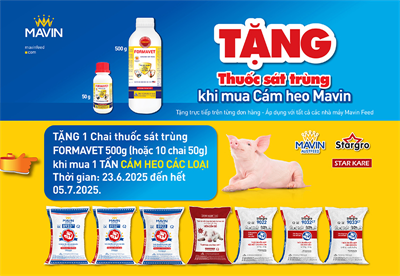 Mavin Feed Đồng Hành Cùng Nhà Chăn Nuôi - Chung Tay Phòng Chống ASF