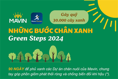 Những bước chân xanh gây quỹ trồng 30.000 cây phủ xanh Dự án Mavin