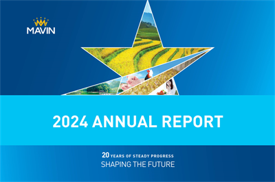 Mavin Group Officially Releases 2024 Annual Report