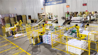 Mavin Feed hoàn tất triển khai hệ thống robot đóng bao tự động