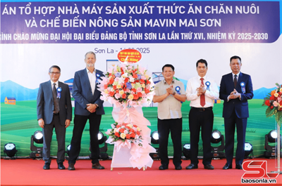 Lễ khởi công tổ hợp nhà máy sản Mavin Mai Sơn