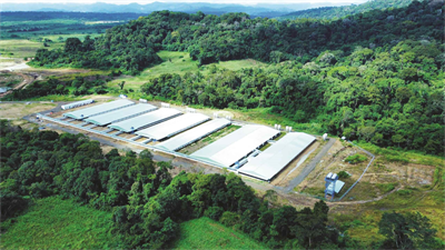 Tập đoàn Mavin: ESG là mệnh lệnh của thị trường