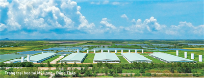 Tập đoàn Mavin tiên phong trong phát triển xanh, minh bạch và có trách nhiệm